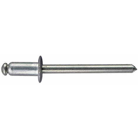250 rivets tête bombée 4,8 x 18 mm Inox A2 - REIN4818 - Index (1/2)