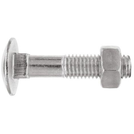 BLISTER-BOULON DIN603+ECROU DIN934.ZINC 06X030 (15 pcs.) (1/2)