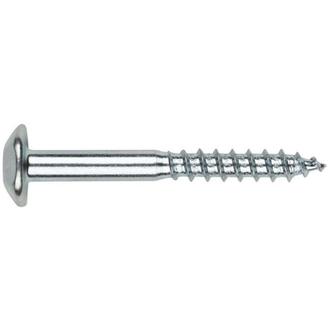 Vis Penture Inviolable 2 pièces TORX T40 7X105 Acier zingué-100 pièces (1/4)