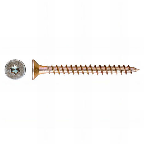 TP-TO - VIS À TÊTE FRAISÉE TORX BICHROMATÉE 6,0X080 (100 u.)