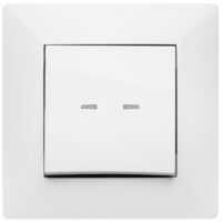 BOUTON-POUSSOIR LUMINEUX BLANC - 10 A
