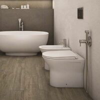 RAK Feeling Bathroom Back To Wall BTW Toilet Pan Rimless White Soft Close Seat