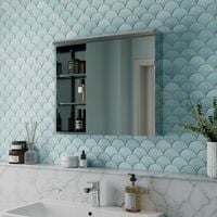 Bathroom Single Door Mirror Stainless Steel Open Shelf Modern Cabinet 700x600mm