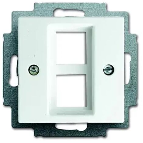 Busch-Jaeger 2561-02-914  Zentralscheibe mit Tragring
