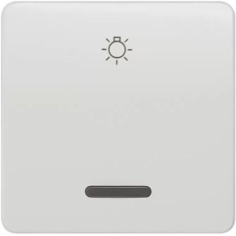 Siemens Wippe titanweiss 5TG7806 (1/2)