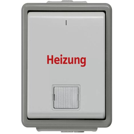 Siemens Heizungnotschalter mit Fenster 2polig 5TA4742 (1/2)
