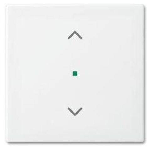 Busch-Jaeger 6232-10-914 1fach Jalousie Wippe