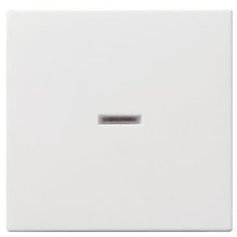 GIRA  Abdeckung Kontrollschalter System 55, Standard 55, E2, Event, Event Klar, Event Opak, Esprit,