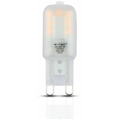 Lampe basse tension E10 12 V / 0,1 A (lot de 10) - Pierron