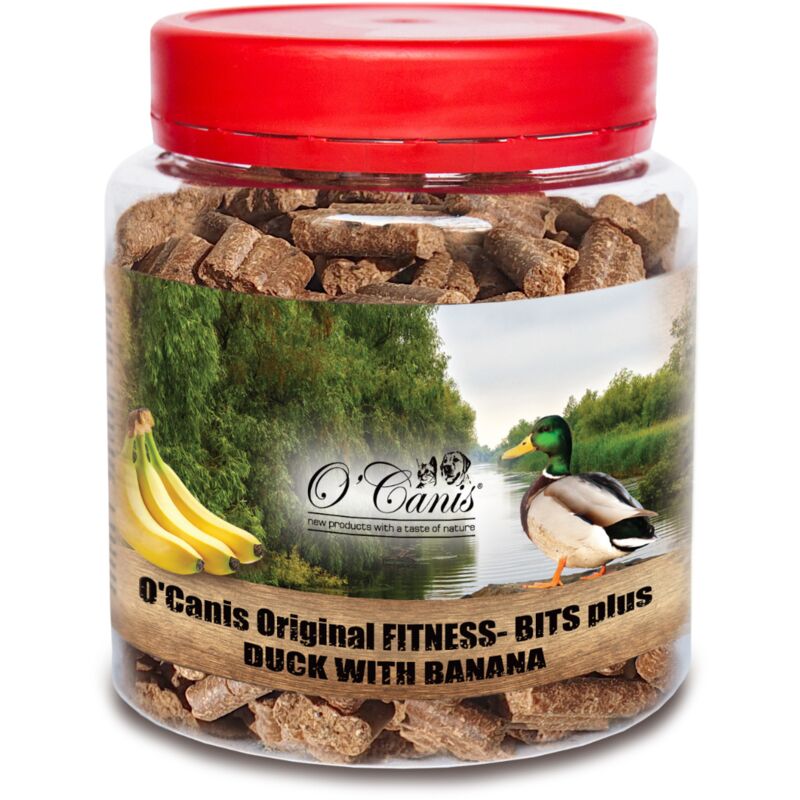 Canips Dog Training And Bananas