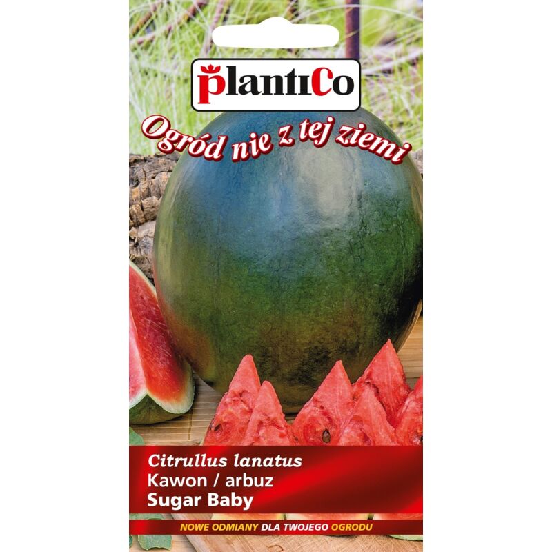 Anguria (anguria) Sugar Baby 2 g PLANTICO
