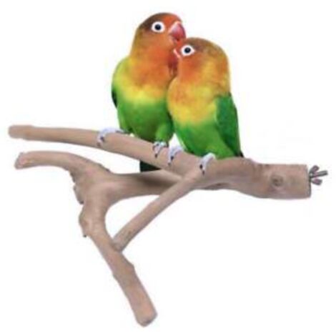 JAVA S - trespolo in legno di Java indistruttibile per calopsiti e altri piccoli pappagalli (1/5)