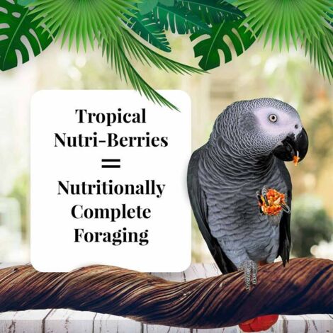 Lafeber Nutriberries Tropicale Frutta 284G-PARROT Cibo/Ultimate Snack - Foto 3