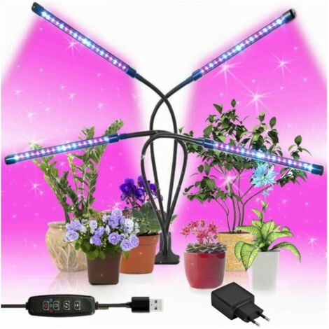 BEOIUCZZY 15 pezzi contenitore per radici di piante, dispositivo riutilizzabile per radici di piante, palla di propagazione ad alta pressione per alberi, fiori, giardino, terreno, scatola di innesto