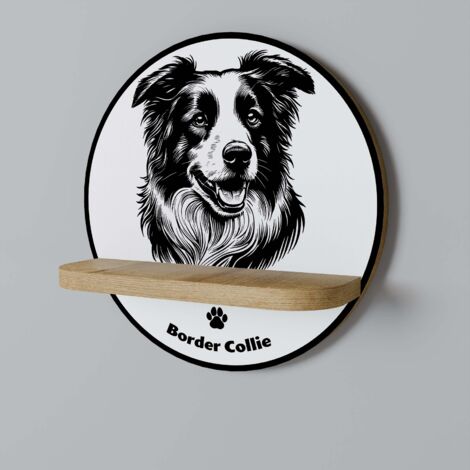 BORDER COLLIE Mensola rotonda (1/5)
