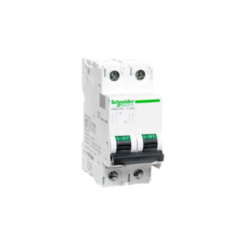 Interruttore Miniatura Schneider Electric Acti9 40 Ampere
