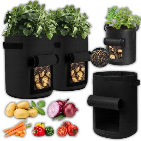 Borsa Patate del 21 giugno 2019