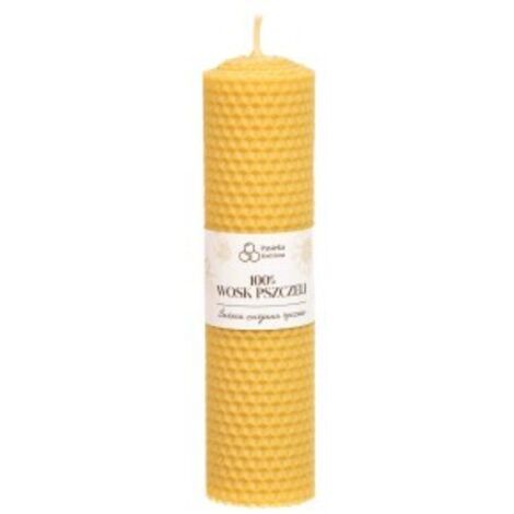 Candele coniche in cera d'api arrotolate a mano / Set da 3, nido