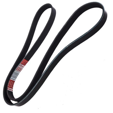 CINGHIA POLARE PK 6PK1550 (1/2)