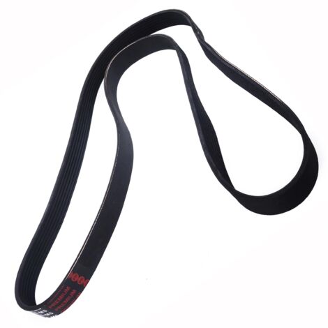 CINGHIA POLARE PK 7PK1575 (1/2)