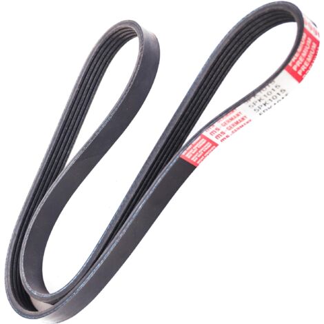 CINGHIA COSTINA V-PK 5PK875 5PK1015 (1/2)