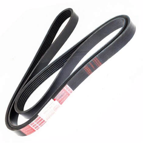 CINGHIA POLARE PK 6PK1745 (1/2)