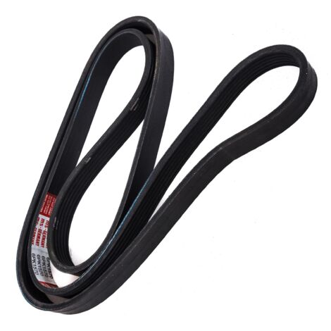 CINGHIA POLARE PK 6PK1565 (1/2)