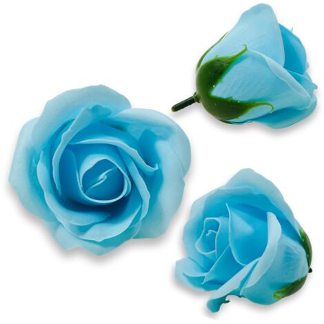 Rosa di sapone azzurro chiaro