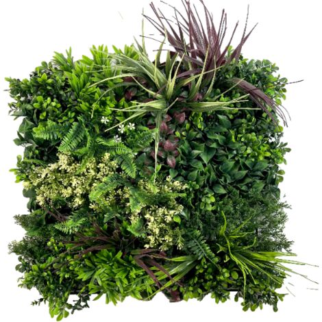 Parete verde - pannello vegetale - Wine Garden A - UV 50 x 50