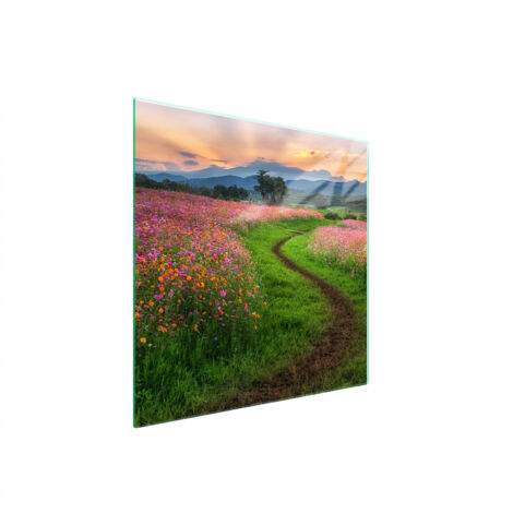 PIASTRA PROTETTIVA IN VETRO PER PIANO COTTURA 50x52 (1/5)