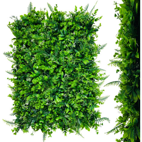 Parete verde - pannello vegetale con tuia, felce, eucalipto e gipsofila