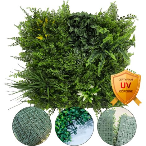 Parete verde - pannello vegetale - Fern Dream - UV 50 x 50