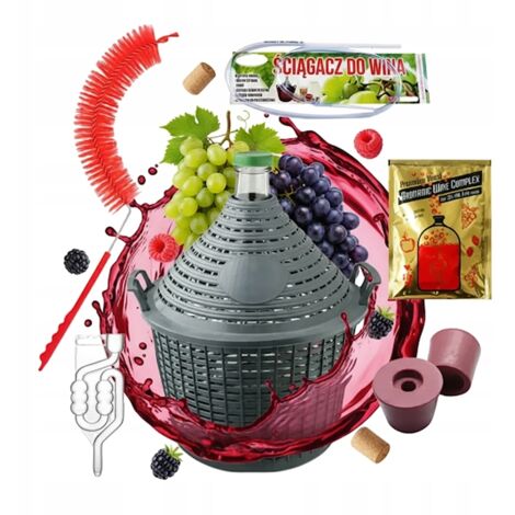 SET: Damigiana da 20 litri con cestello, damigiana in vetro per fermentazione e vino