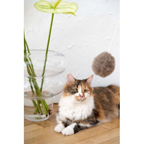 Giocattolo per gatti in lana naturale: palla di corda / beige (1/5)