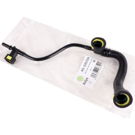 DOTTO PNEUMOSICO