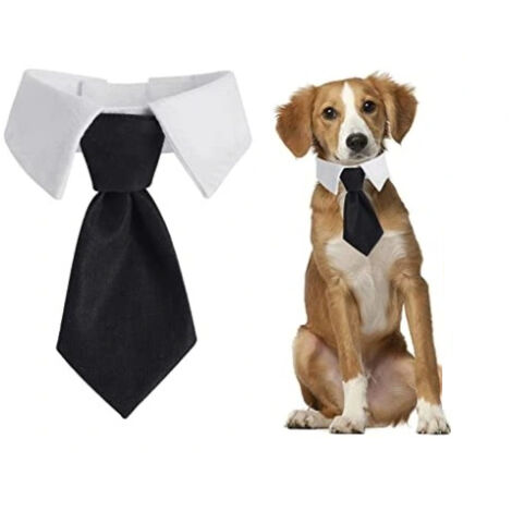 CORBATA PERRO GATO Velcro Universal ELEGANTE TRAJE DE FIESTA talla L