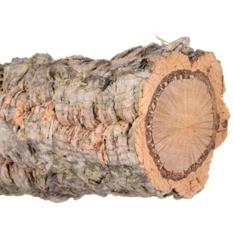 Cork Oak XL - Percha natural para loros grandes (1/5)