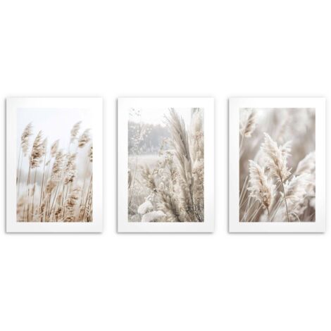 Pósters de pared para salón, pósters boho hierba de la pampa 3x 30x40cm