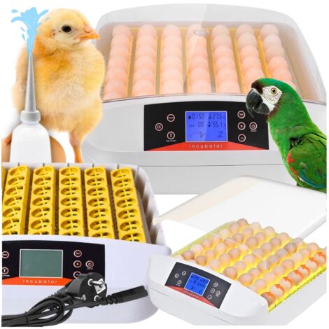 incubadora de huevos, nacedora automática, criadero de aves de corral, ovoscopio 56