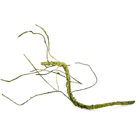 BioBranch Green Liana S para terrario 25-45 cm (1/2)