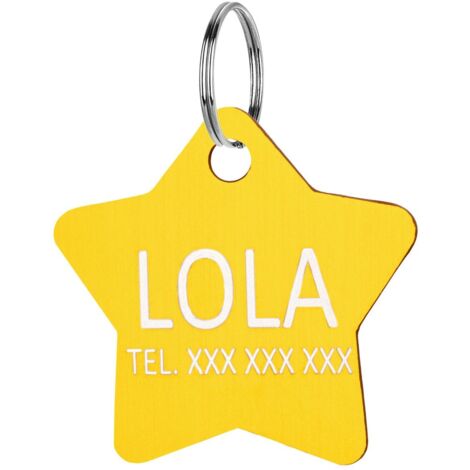 Placa de identificación para perros y gatos, placa de identificación para perros, colgante con grabado dorado (1/5)