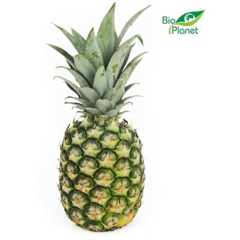 Envase a granel (uds.) - Piña orgánica fresca (aprox. 12 piezas)