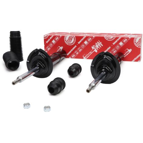 AMORTIGUADORES DELANTEROS BMW 5 / 5 Touring (E39) (1/5)