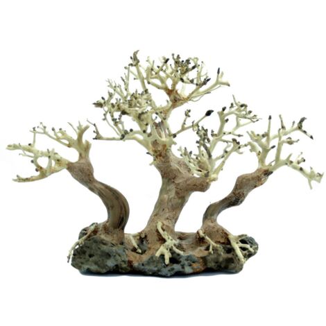 PROGROW ARBOL BONSAI BT4M 30X16X20CM