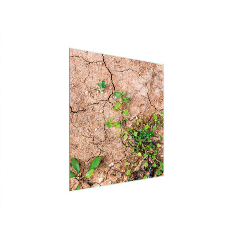 TABLA DE CORTAR DE VIDRIO 45x52 PLANTAS (1/5)