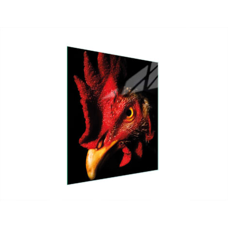 TABLA DE CORTAR DE VIDRIO 45x52 GALLO (1/5)