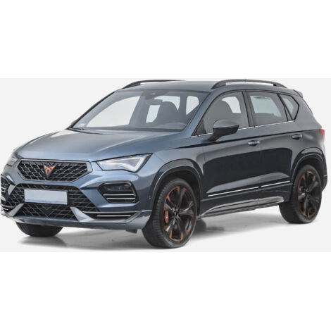 Seat Ateca - Molduras laterales cromadas para puertas (1/5)