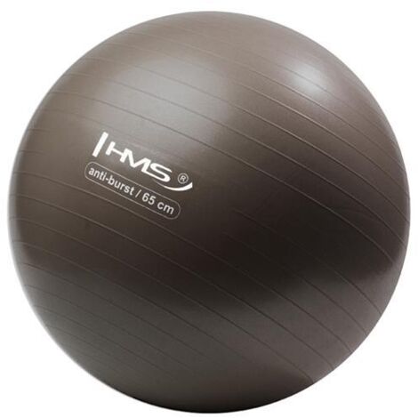 YB02 NUEVO BAL脫N DE GIMNASIO ANTI-EXPLOSI脫N DE 65 CM HMS (1/5)