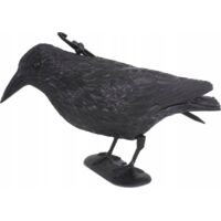 Cuervo negro: un eficaz repelente de aves y decoración de jardín