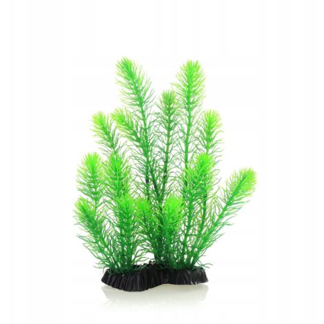 POPETPOP Künstliche Aquariumpflanze – Kunststoff-Kelp, 38cm, Für Süß- Und Salzwasser